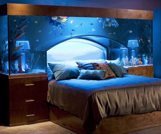 aquarium bed not suitable for feng shui - Benefits of Keeping a Fish Tank and the Science and Feng Shui Behind It