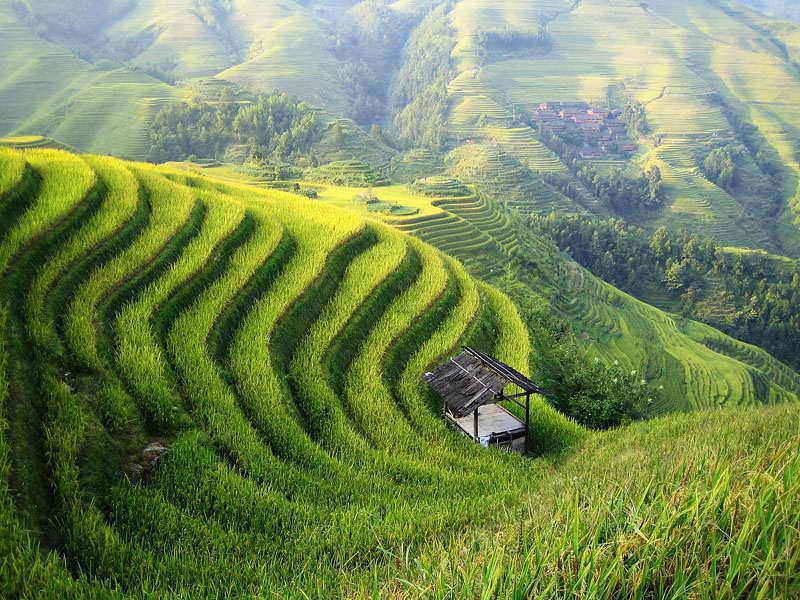 china agriculture feng shui min - Can Feng Shui Help Us Become Rich?