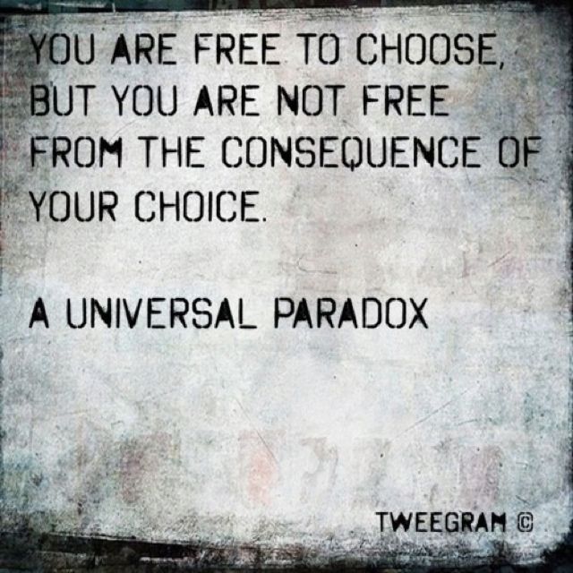 Consequence of choice - Belief Behind Why Feng Shui Consultations “MUST” Get Paid