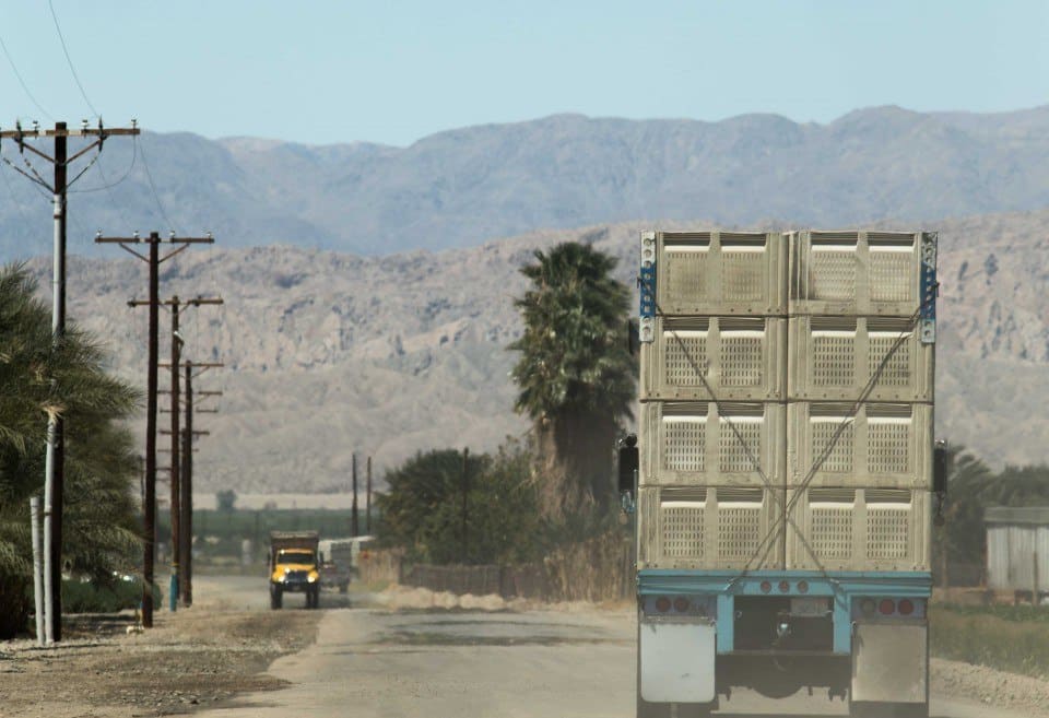 Driving near a truck on highway 1 - What is Qi (Chi) in Feng Shui?