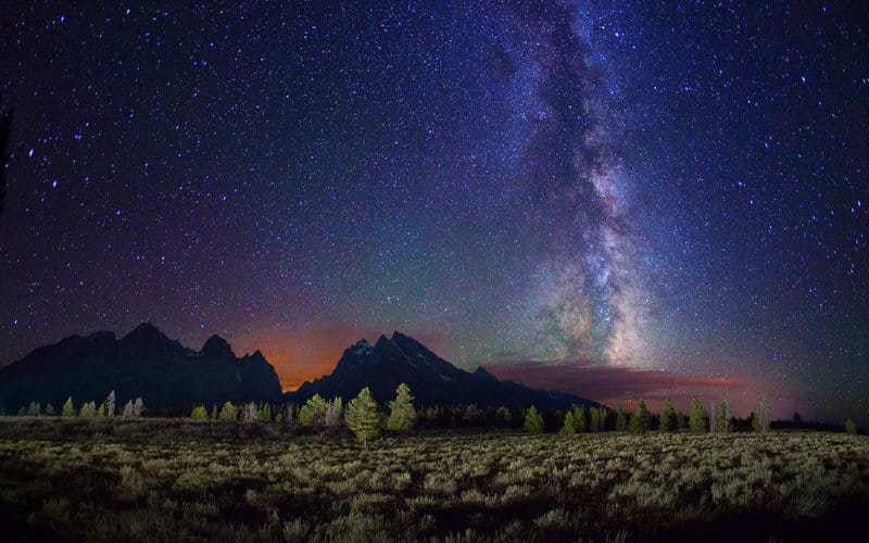 night sky stars trees plain field