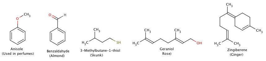 Odors Molecules smell qi 1 - What is Qi (Chi) in Feng Shui?