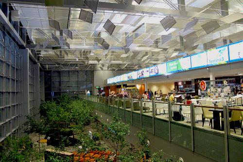 Singapore Changi Airport Food Court Garden 1 - Top 10 International Airports with Awesome Feng Shui