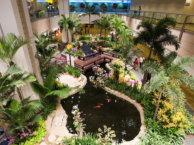 Singapore Changi Airport zen garden 1 - Top 10 International Airports with Awesome Feng Shui