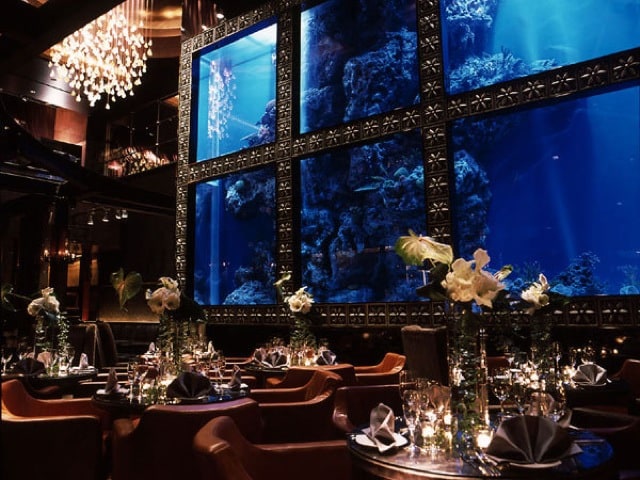 Tokyos restaurant with aquarium - Benefits of Keeping a Fish Tank and the Science and Feng Shui Behind It