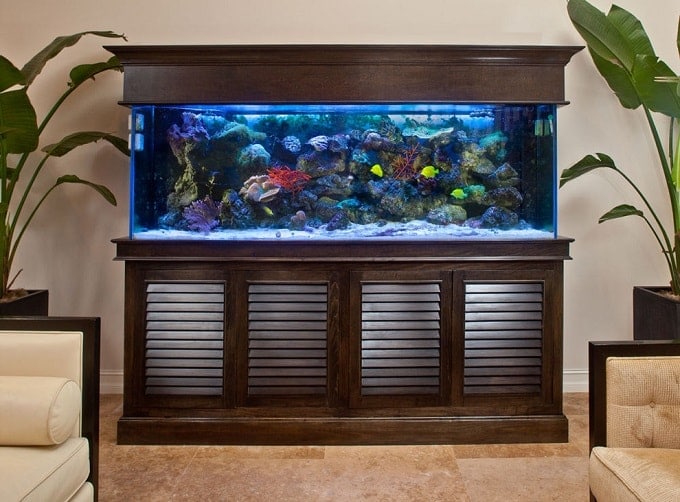 tropical living room fish aquarium feng shui min - How to Feng Shui Your Fish Aquarium for Abundance: 5 Factors to Consider