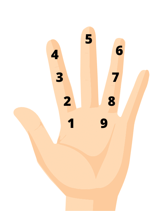 Left Palm Kua Number calculation location - 3.5 Ways to Find Your Feng Shui Life Kua Number