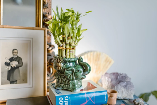 unnamed 3 - Feng Shui Myths and Facts: What You Need to Know