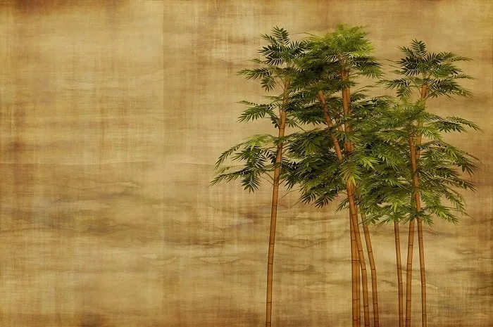 bamboo drawing feng shui