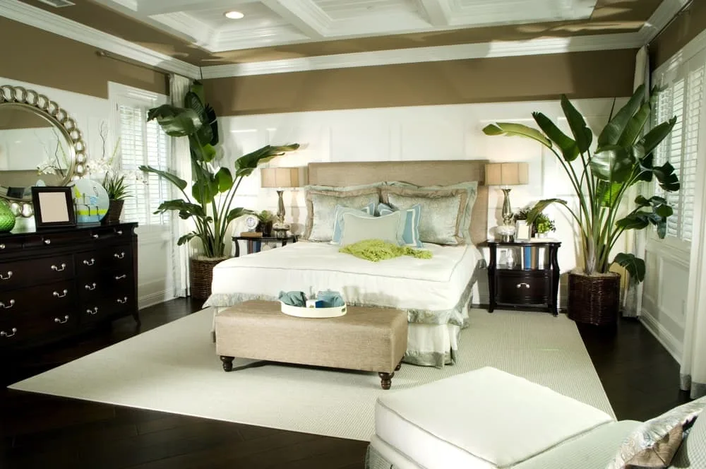 Effect of Plants in Bedroom Feng Shui