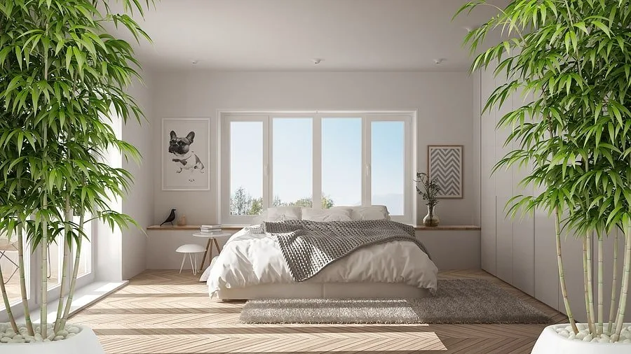 Minimalist Bedroom