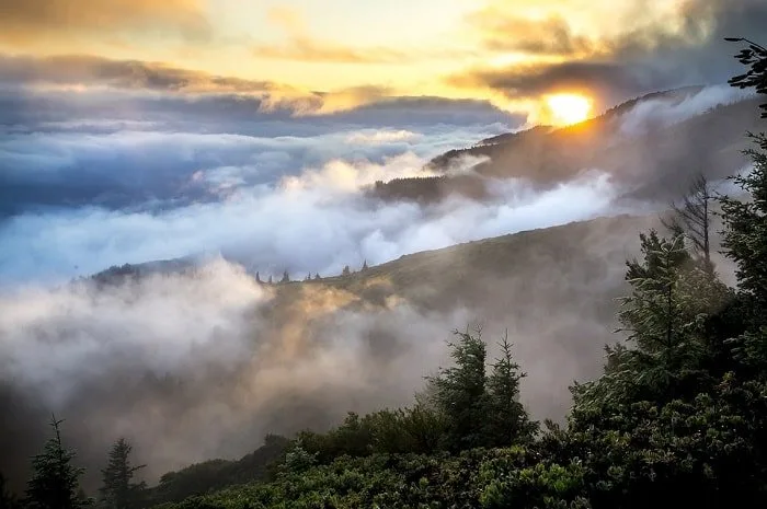 mountains fog beautiful forest environment